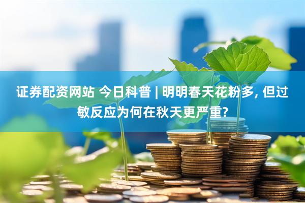 证券配资网站 今日科普 | 明明春天花粉多, 但过敏反应为何在秋天更严重?