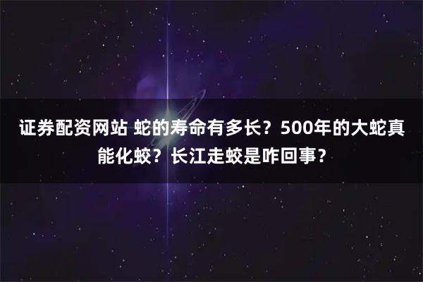证券配资网站 蛇的寿命有多长？500年的大蛇真能化蛟？长江走蛟是咋回事？