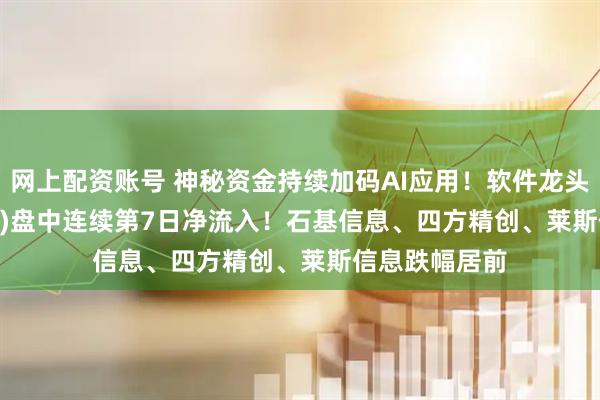 网上配资账号 神秘资金持续加码AI应用！软件龙头ETF(159899)盘中连续第7日净流入！石基信息、四方精创、莱斯信息跌幅居前