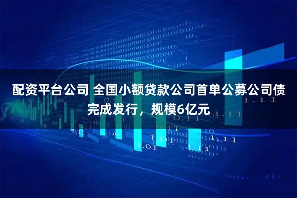 配资平台公司 全国小额贷款公司首单公募公司债完成发行，规模6亿元