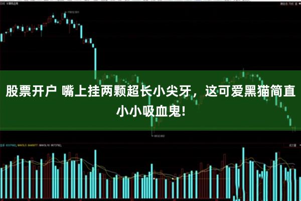 股票开户 嘴上挂两颗超长小尖牙，这可爱黑猫简直小小吸血鬼!