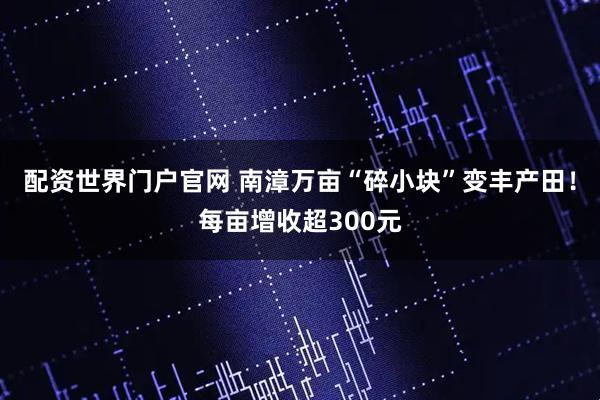 配资世界门户官网 南漳万亩“碎小块”变丰产田！每亩增收超300元